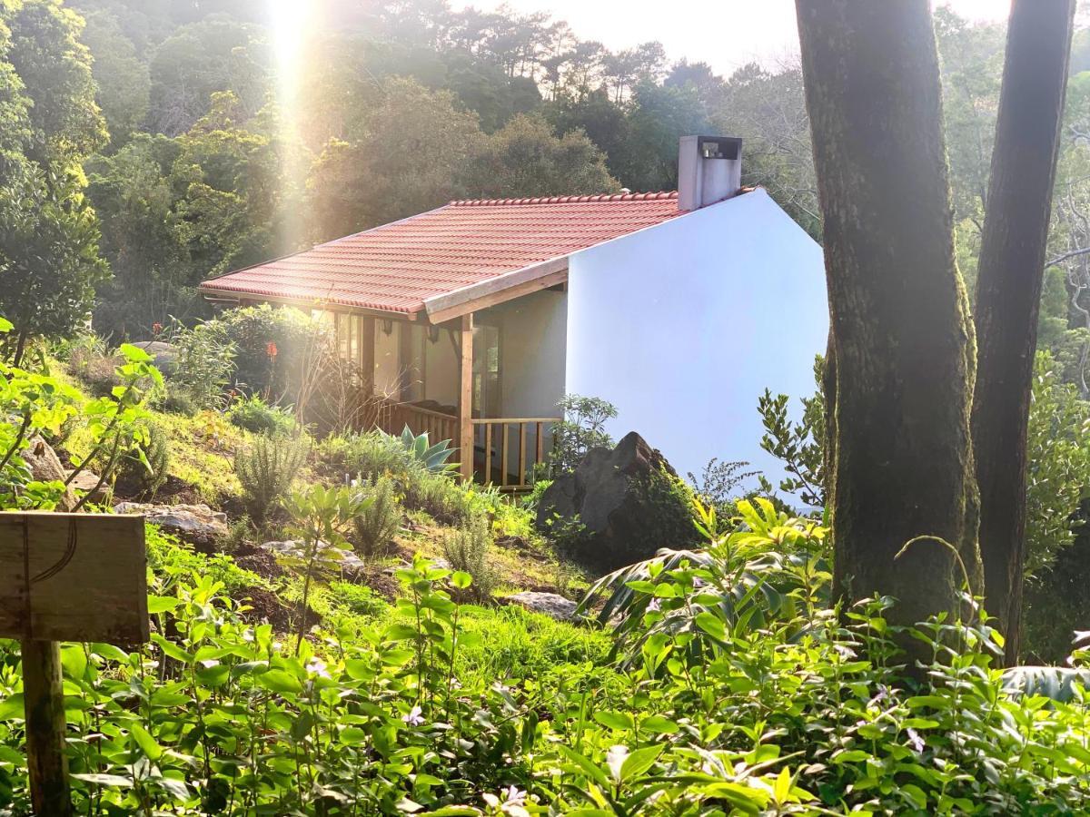 Eighteen21 Houses - Secluded Charm Cottage In Quinta Velha Sintra Luaran gambar