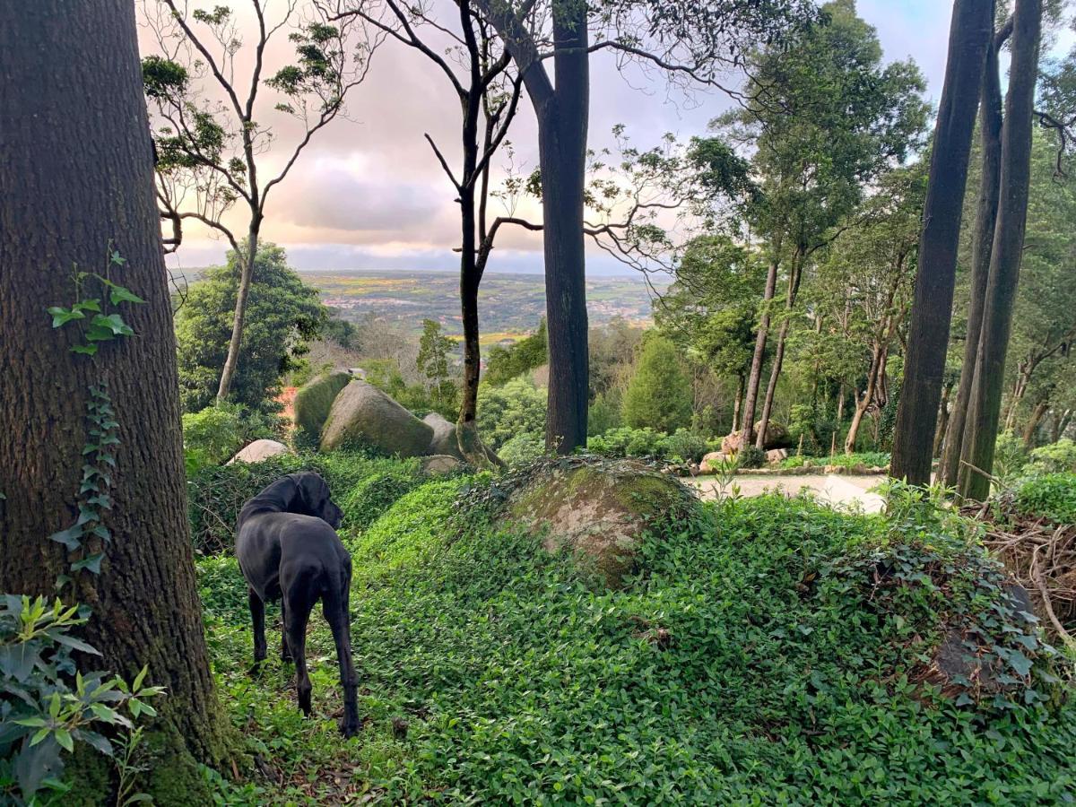 Eighteen21 Houses - Secluded Charm Cottage In Quinta Velha Sintra Luaran gambar